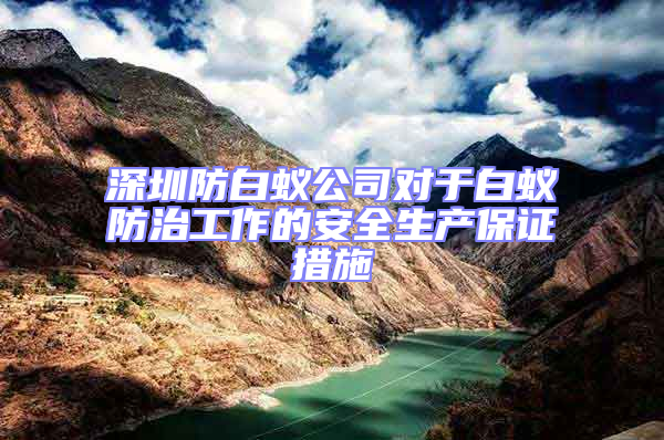 深圳防白蟻公司對(duì)于白蟻防治工作的安全生產(chǎn)保證措施