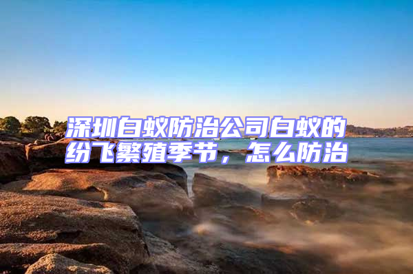 深圳白蟻防治公司白蟻的紛飛繁殖季節(jié)，怎么防治