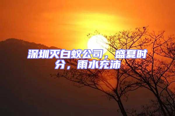 深圳滅白蟻公司，盛夏時分，雨水充沛