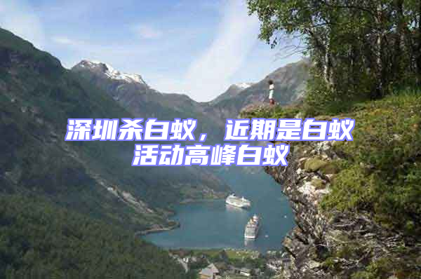 深圳殺白蟻，近期是白蟻活動高峰白蟻