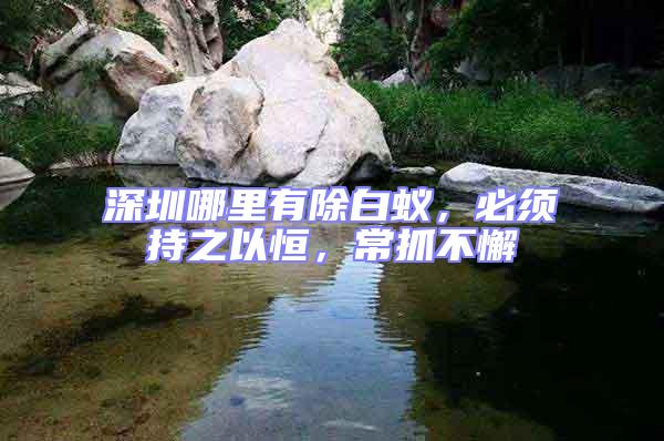 深圳哪里有除白蟻，必須持之以恒，常抓不懈
