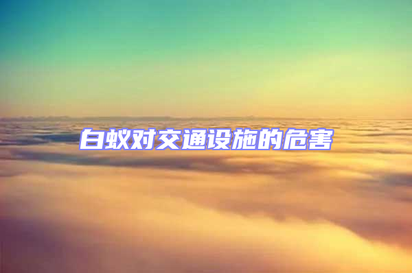 白蟻對交通設(shè)施的危害