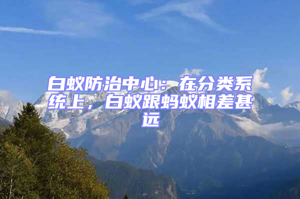 白蟻防治中心：在分類系統上，白蟻跟螞蟻相差甚遠