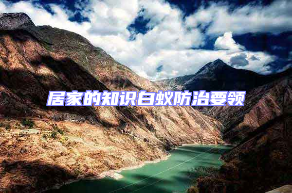 居家的知識白蟻防治要領