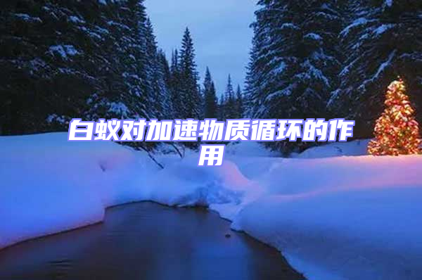 白蟻對加速物質(zhì)循環(huán)的作用