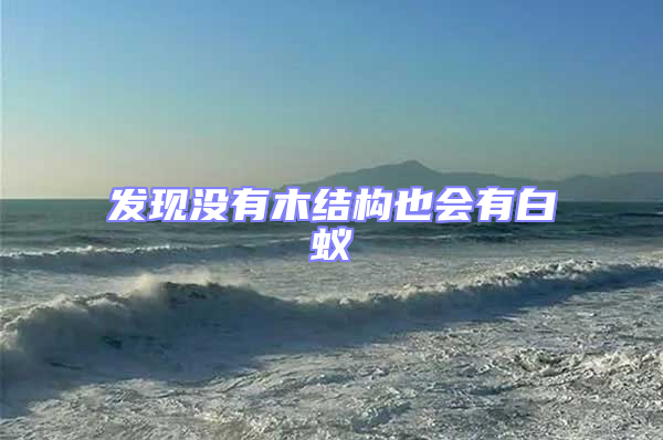 發(fā)現(xiàn)沒(méi)有木結(jié)構(gòu)也會(huì)有白蟻