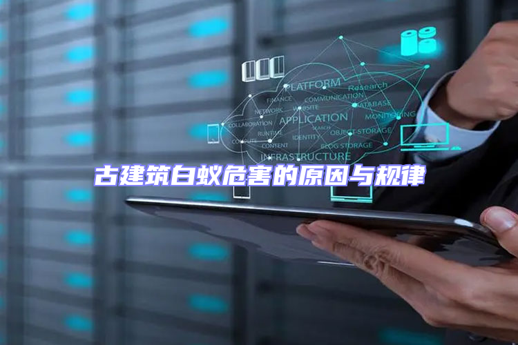 古建筑白蟻危害的原因與規律