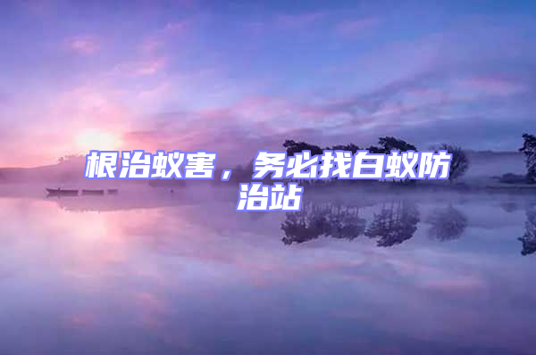 根治蟻害,務必找白蟻防治站