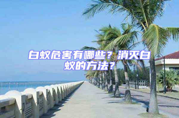 白蟻危害有哪些？消滅白蟻的方法？