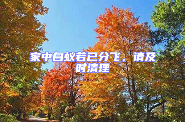 家中白蟻若已分飛,請(qǐng)及時(shí)清理