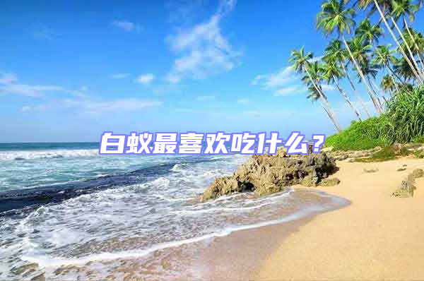 白蟻最喜歡吃什么？