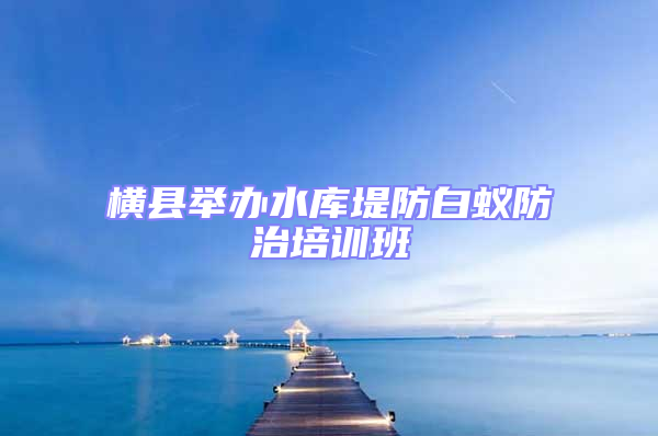 橫縣舉辦水庫堤防白蟻防治培訓(xùn)班