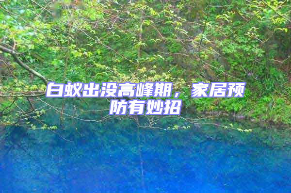 白蟻出沒高峰期，家居預(yù)防有妙招