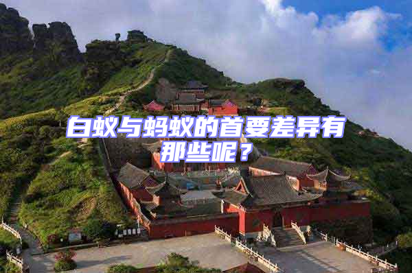 白蟻與螞蟻的首要差異有那些呢？