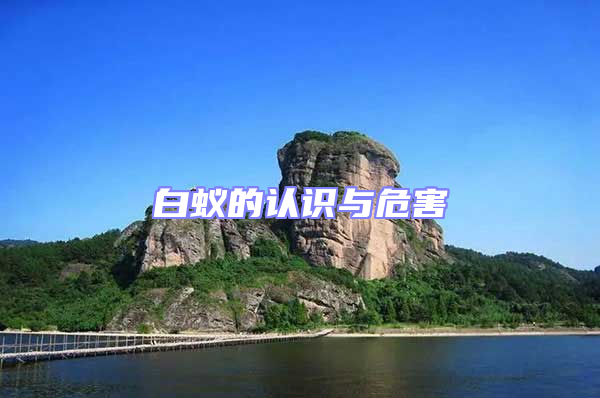 白蟻的認(rèn)識(shí)與危害