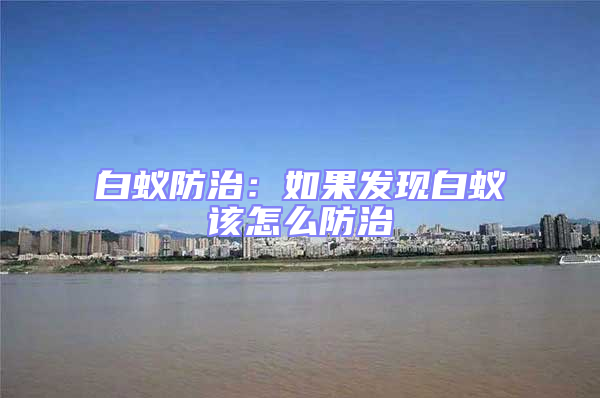 白蟻防治：如果發(fā)現白蟻該怎么防治
