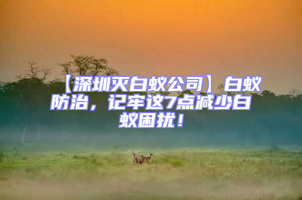 【深圳滅白蟻公司】白蟻防治,記牢這7點(diǎn)減少白蟻困擾!