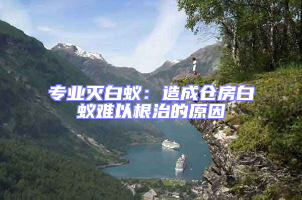 專業滅白蟻:造成倉房白蟻難以根治的原因