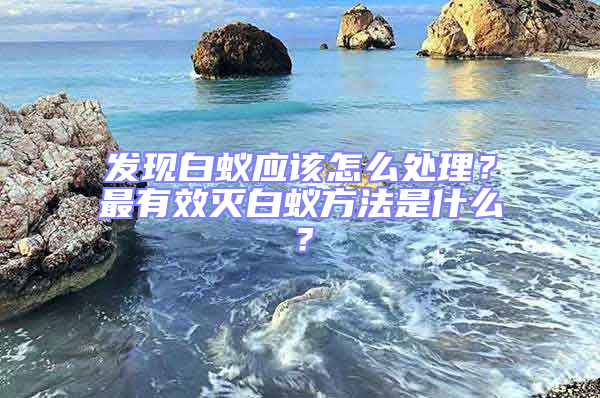 發(fā)現(xiàn)白蟻應(yīng)該怎么處理?最有效滅白蟻方法是什么?