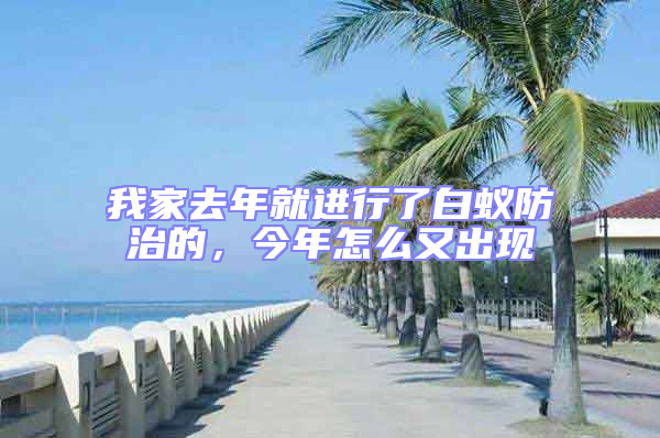 我家去年就進行了白蟻防治的，今年怎么又出現