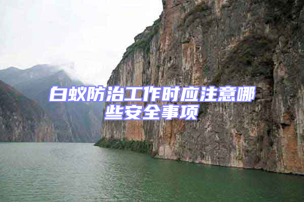 白蟻防治工作時應注意哪些安全事項