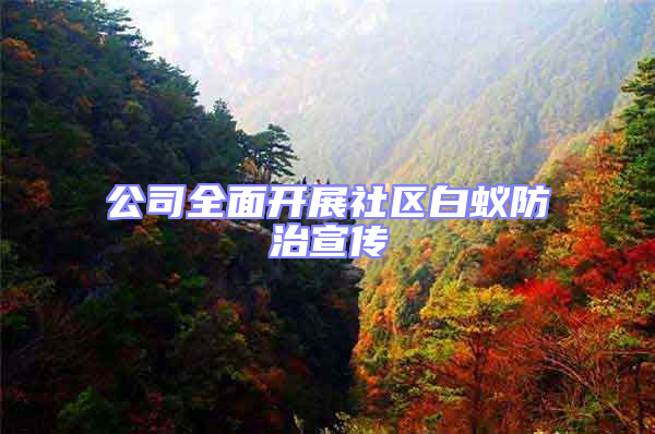 公司全面開展社區(qū)白蟻防治宣傳