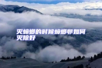 滅蟑螂的時候蟑螂卵如何滅除好