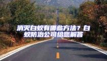 消滅白蟻有哪些方法？白蟻防治公司給您解答