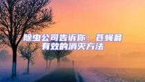除蟲公司告訴你：蒼蠅最有效的消滅方法