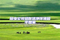 除蟲公司給你潔凈環(huán)境超乎想象