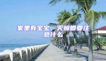 家里有寶寶，滅蟑螂要注意什么