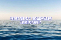 馬陸是什么？該如何快速地消滅馬陸？