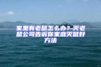 家里有老鼠怎么辦？滅老鼠公司告訴你家庭滅鼠好方法