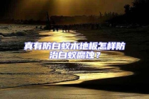 真有防白蟻木地板怎樣防治白蟻腐蝕？