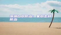 深圳白蟻防治：家蟻怎樣防治