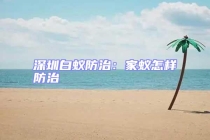 深圳白蟻防治：家蟻怎樣防治