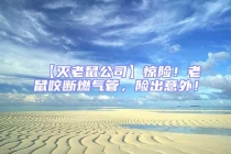 【滅老鼠公司】驚險！老鼠咬斷燃氣管，險出意外！