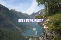 餐廳如何滅鼠？