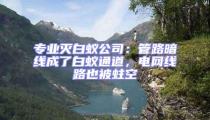 專業(yè)滅白蟻公司：管路暗線成了白蟻通道，電網(wǎng)線路也被蛀空
