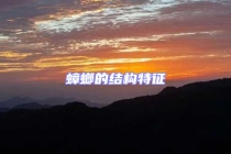 蟑螂的結構特征