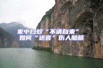 家中白蟻“不請自來” 如何“送客”傷人腦筋