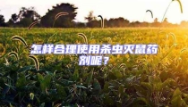 怎樣合理使用殺蟲滅鼠藥劑呢？