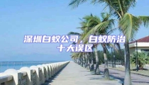深圳白蟻公司，白蟻防治十大誤區