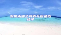 深圳殺蟲(chóng)公司養(yǎng)孔雀魚(yú)吃蚊子