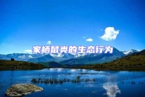 家棲鼠類的生態(tài)行為