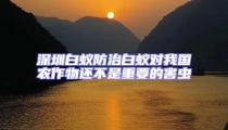 深圳白蟻防治白蟻對(duì)我國(guó)農(nóng)作物還不是重要的害蟲