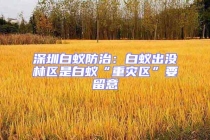 深圳白蟻防治：白蟻出沒林區是白蟻“重災區”要留意