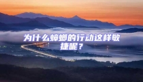 為什么蟑螂的行動(dòng)這樣敏捷呢？