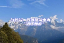 白蟻站：很多建筑室內“溫暖如春”