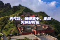 天氣冷，蟑螂集中，正是滅蟑好時機